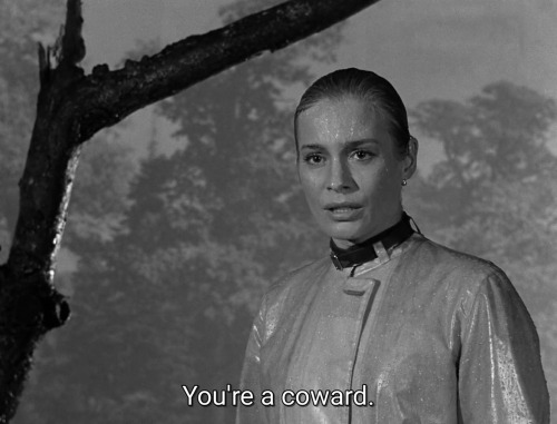 honeygleam:smultronstället (1957) dir. ingmar bergman