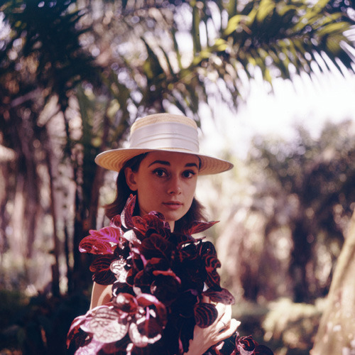 missingaudrey:  Audrey Hepburn by Leo Fuchs, 1958 