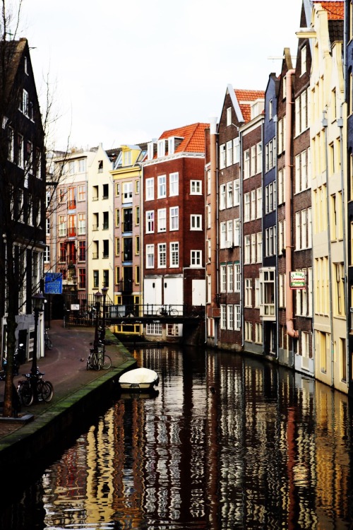 Amsterdam Feb 2015 C. Ilaria Filippi