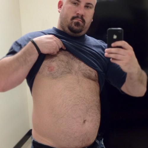 The Bear Standard 2.0