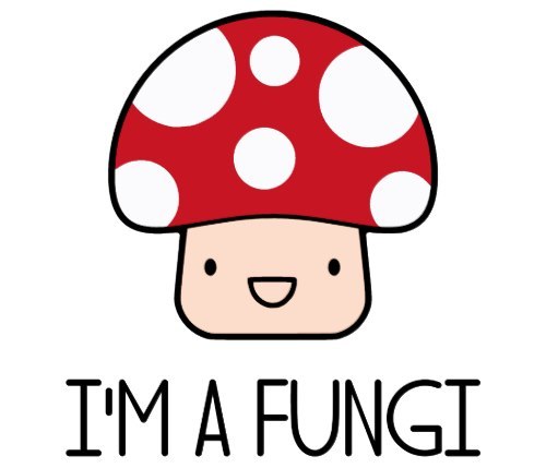 I&;m a Fungi Fun Guy Mushroom Tee Shirt