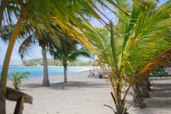 alexandrarog:  Balneario Sun Bay, Isla de Vieques, Puerto Rico 