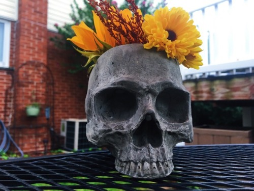 So I’ve stared up an Etsy!Made some cool cement skull planter and candle holder!! Check it out! ht