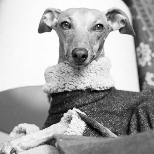 heyiggyjoey:I’m staying in tonight. I don’t think I’m getting enough sleep. I slept all last night, 