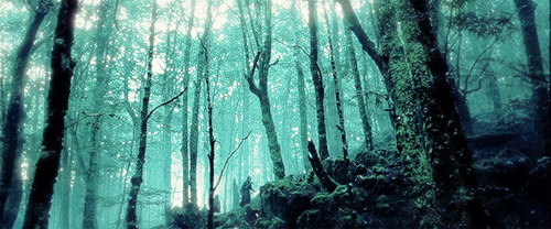 makebeliever:“Where are you taking us?”                                              “In