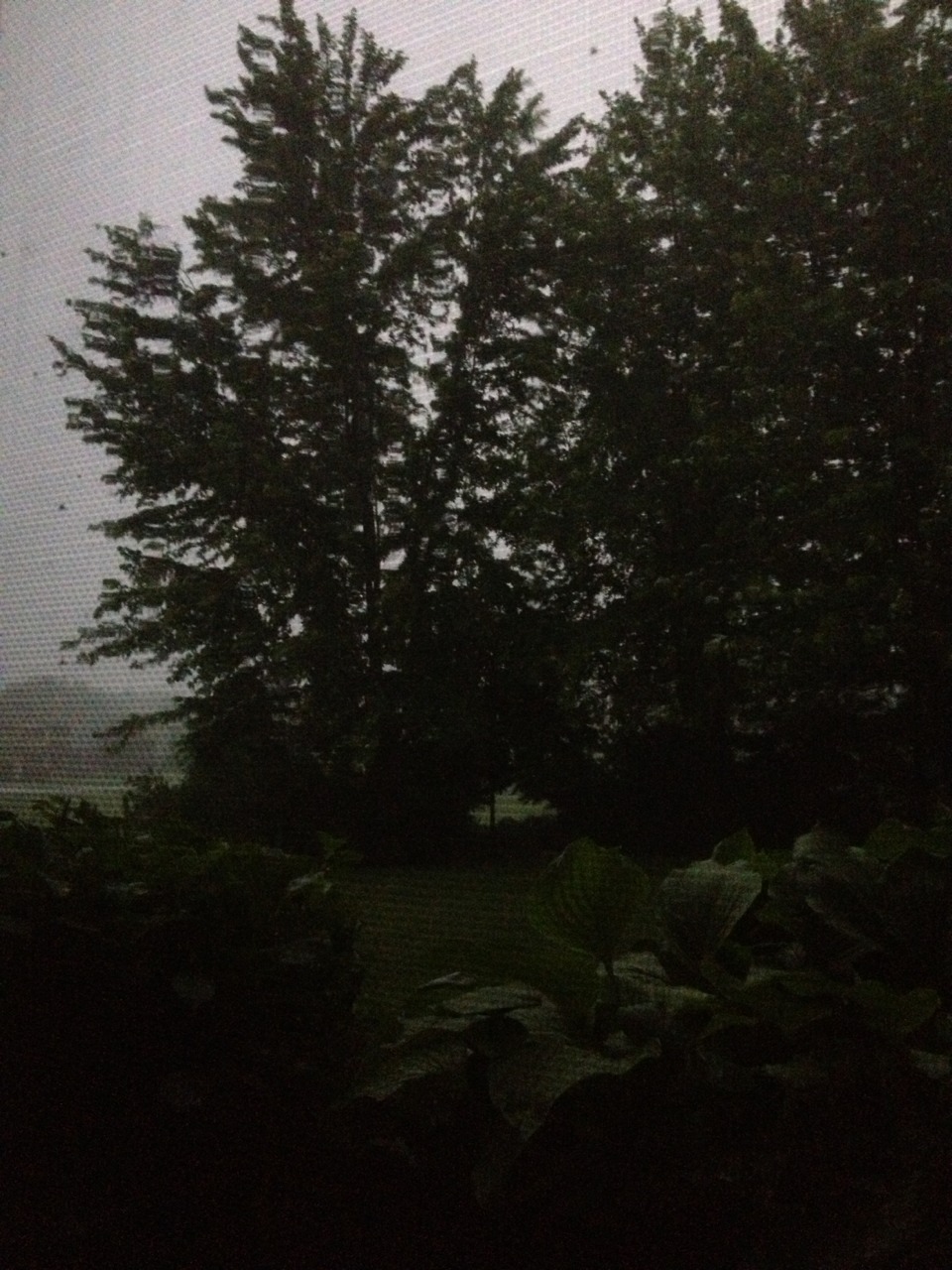 view of a storm through a basement window. it&rsquo;s beautiful and loud and