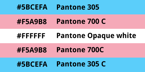 I Gave My Thing The Trans Flag Colors