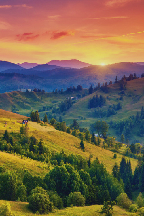 foresity:   Warm sunrise || Leonid Tit  