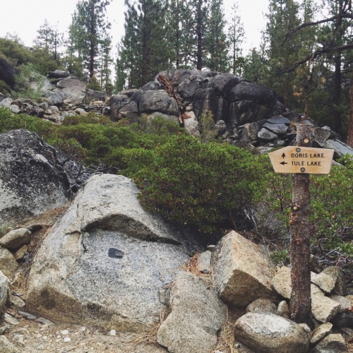 eartheld:  sidestroke:  eartheld:  mostly nature  all nature  mostly nature