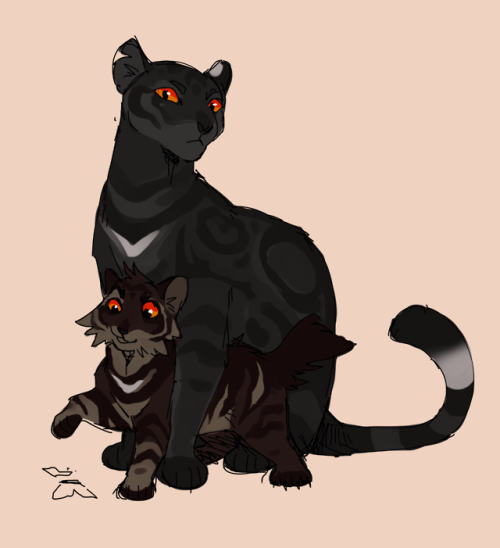 goldenflowersupportteam:I got my Leopardfoot and tigerstar designs out in one go! Perfect