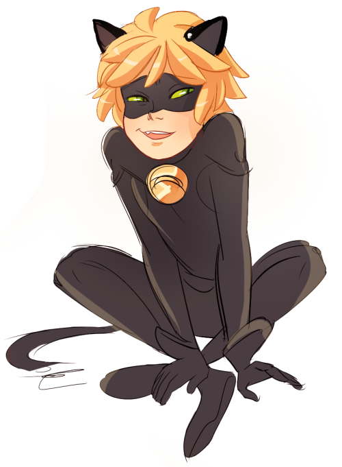 amaryllis-arts: I’m sooo excited for the the miraculous ladybug! Can you tell I love chat noir