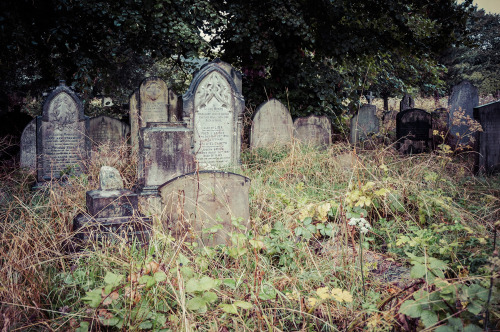 marlessa:Brompton Cemetery (one of the Magnificent Seven), London