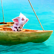 scottymccall: pua appreciation post!