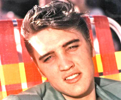 50s-60s-gal:  Elvis  Photographed in the