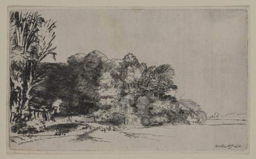 Clump of Trees with a Vista, Rembrandt Harmensz. van Rijn, 1652, Brooklyn Museum: European ArtSize: 