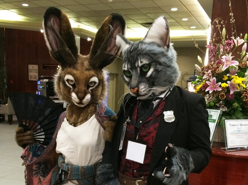kyanitera:Suiting at Vancoufur (and had a blast, great con!) Dekin the Cardsharp Cat and Sage the Jackalope — both suits are created by Stuffed Panda Studios 