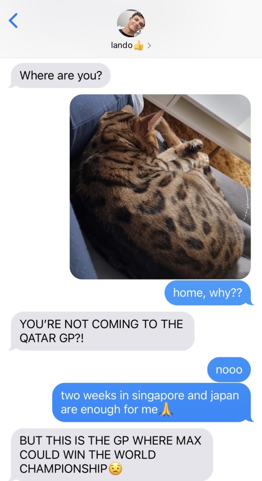 The Cat Sitter (part 13) Max Verstappen