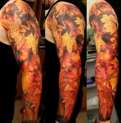 Nice Fall Foliage Sleeve