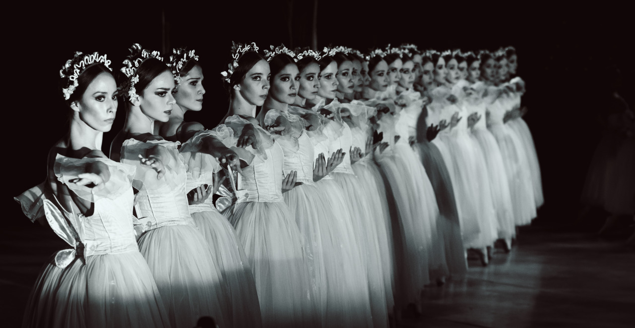 carlosquezadaph:  Compañía Nacional de Danza . México  Giselle . Willis Corps