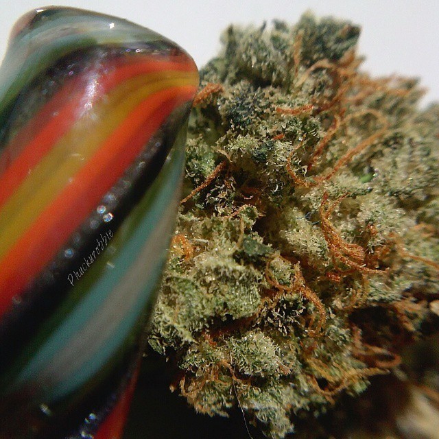 weedporndaily:  #WakenBake ❄⛽
