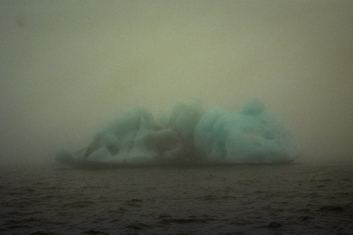 foxmouth:  Landscapes, 2014 | by Carmen Marchena