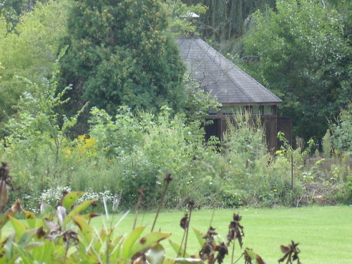buffdiamond:Woodlot Naturist Retreat #BlackMaleNudity