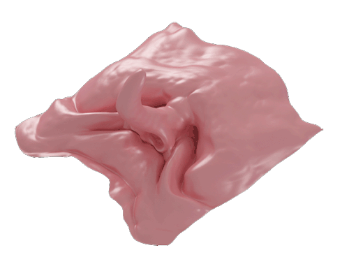 jellygummies: Human/jellyfish/cloth baby