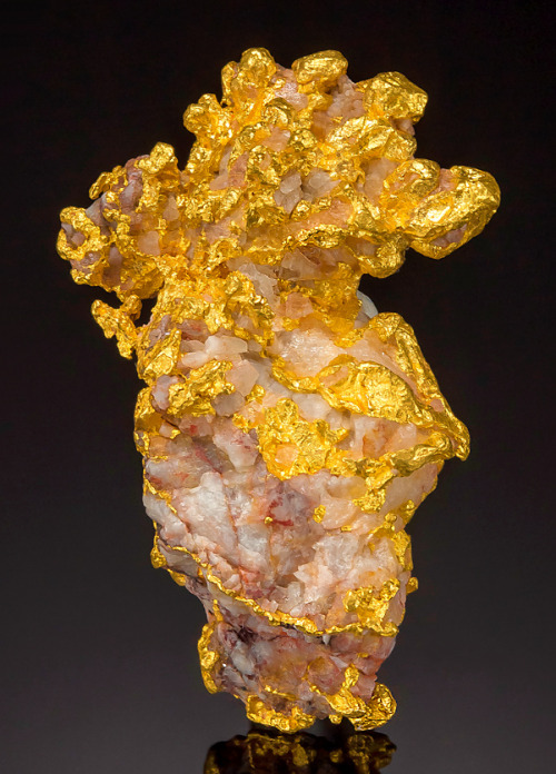 hematitehearts:Native Gold on White QuartzLocality: Gold Field in Western AustraliaWhoa