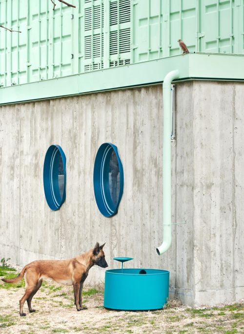 Eeestudio - Animal training center, Brunete 2020. Photos &copy; José Hevia.