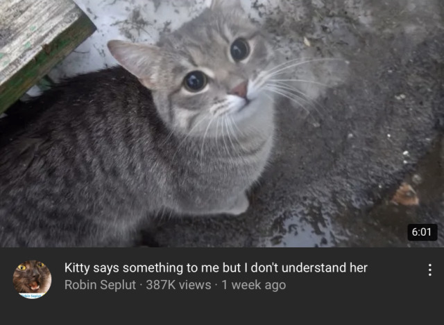pwout-deactivated20230202:me trying to interact with people