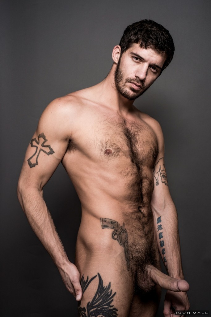 swiss stallion's stable of hot men