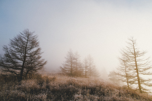 foxmouth:  Nagano / Hakone, 2014 | by Sam Alive 