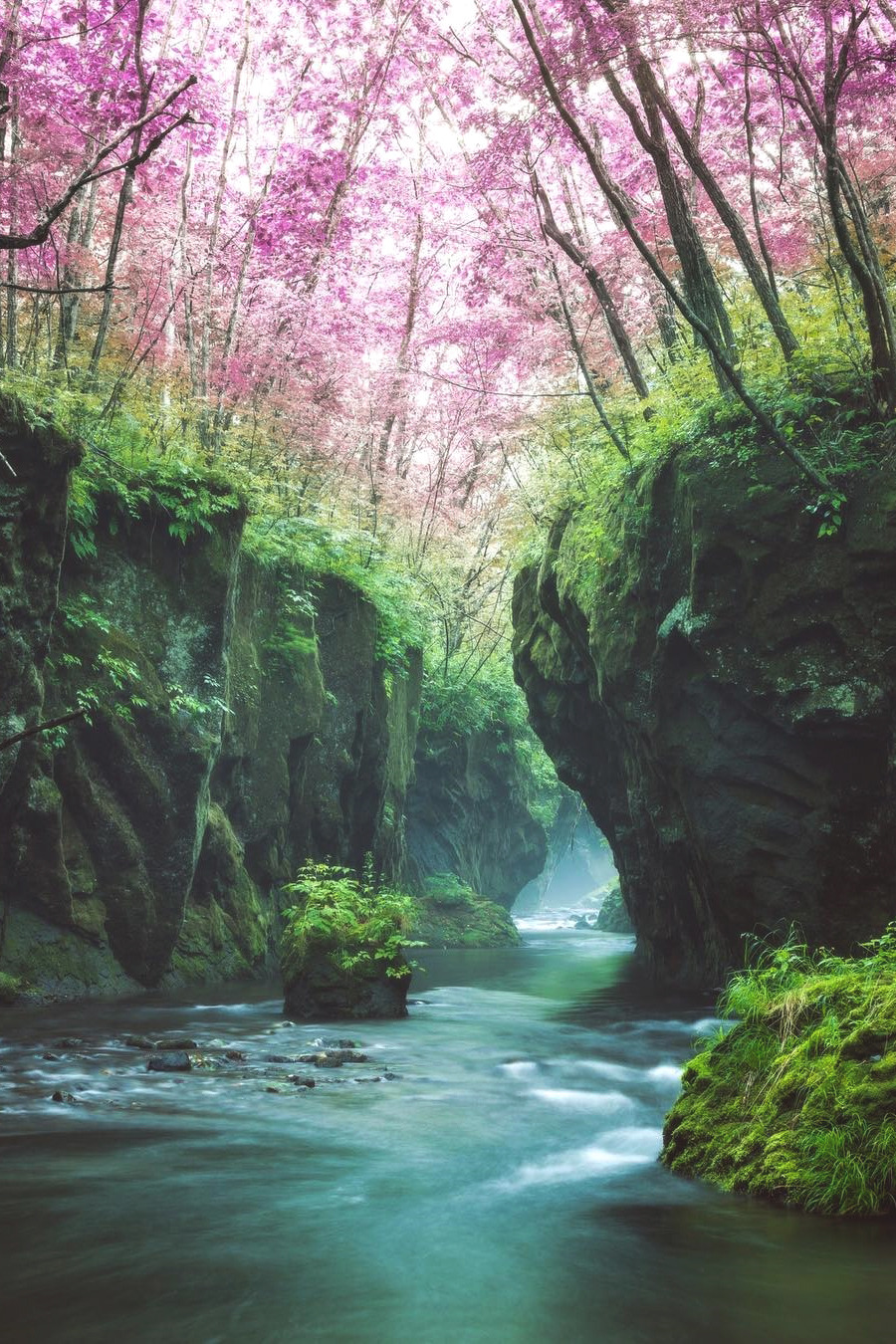 lsleofskye:Hokkaido,Japan | takaphilography