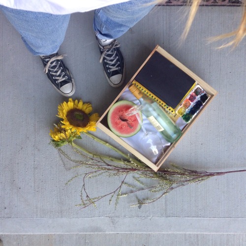 sunliterally:a+ picnic