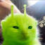 tigerplushh