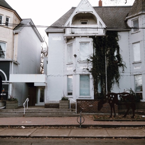 belongtothedead:markham street, annex, toronto. instgrm: talonofthehawk