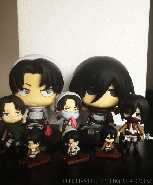 fuku-shuu:  My chibi Levi & Mikasa figurines! (▰˘◡˘▰) This took a while to set up, but totally worth it (ノ*゜▽゜*) 