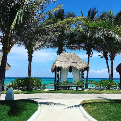 The view from my casita! #happyanniversarytome #welcometoparadise by cfwinston http://ift.tt/1Ubs7oK