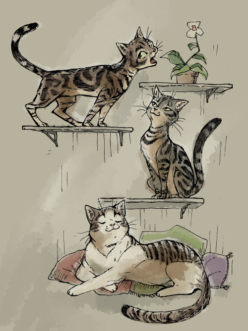 bedupolker:  Pet portrait commission from