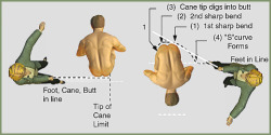 sevrinasevrin: The art of cane  Excellent diagram showing good caning form. Other tips for hesitant ladies:1. Order him to remain silent. If he makes a sound, apply the stroke again.2. Order him to remain still. If he moves, tie him down and add extra