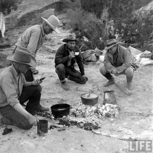 Along the Colorado River(Dmitri Kessel. 1944)