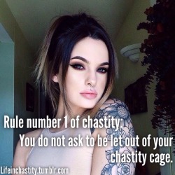 lifeinchastity.tumblr.com post 146486747392