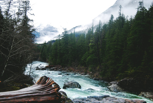 tuaari: River off the side of the Pacific Rim Highway