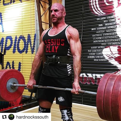 hotwweguys:  Cesaro is about to explode