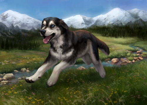 Commissioned portrait of a pet :) Her name was Wolfina.