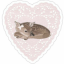 pastelpinkbunnies
