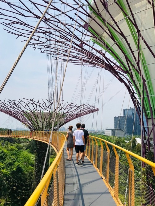 .
Today was all about walking around Gardens By The Bay…