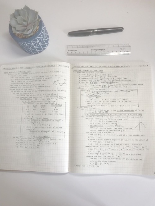 studeamus: may 14 // reviewing notes from my first day of summer class