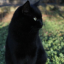wendolinblack-blog