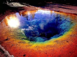 deepitforest:  Grand Prismatic Spring: This